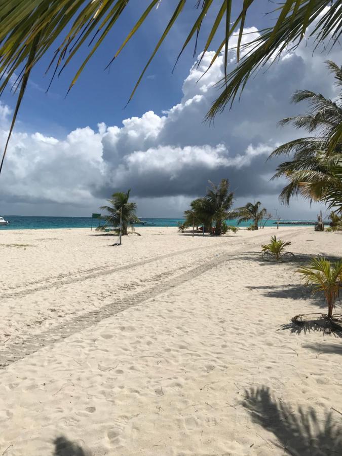 Malas Island View Fulidhoo Exteriér fotografie