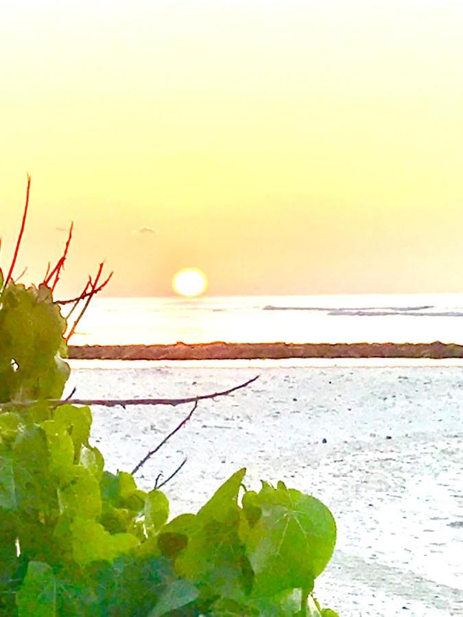 Malas Island View Fulidhoo Exteriér fotografie