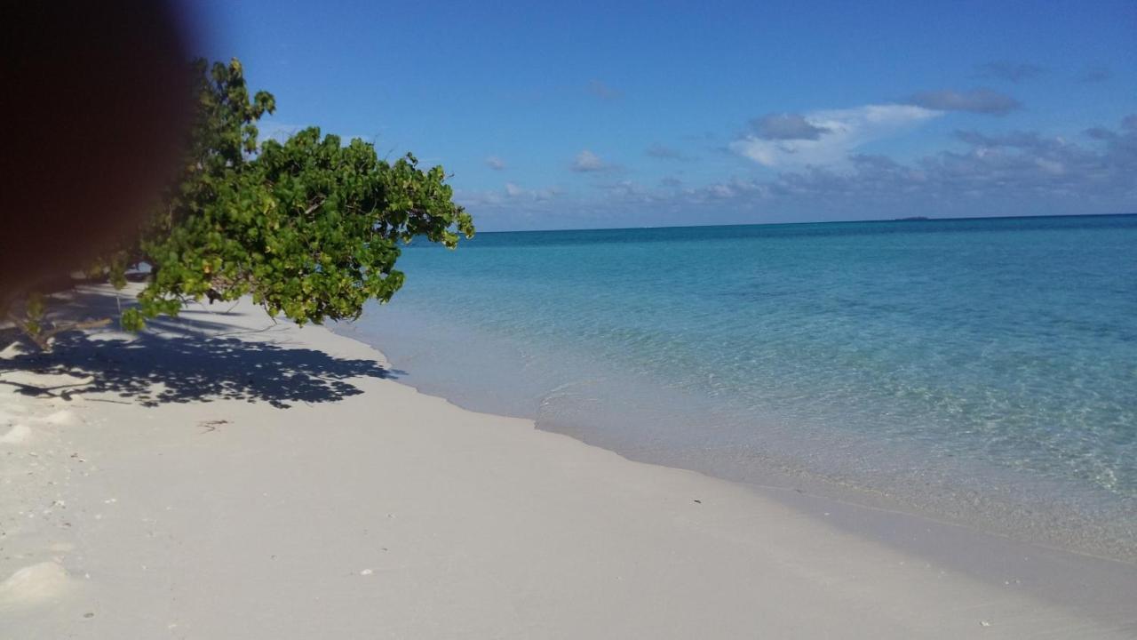 Malas Island View Fulidhoo Exteriér fotografie